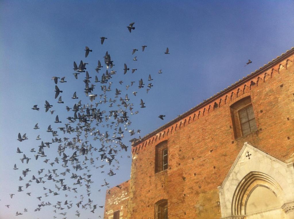 La Locanda Di San Francesco Montepulciano Bilik gambar